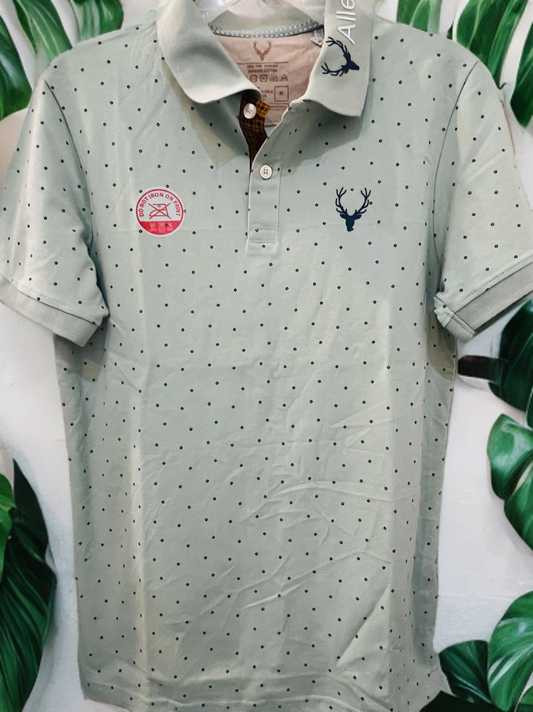 Allen Solly T-shirt