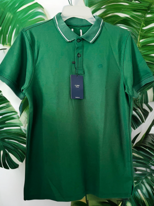 American Eagle Polo Shirt