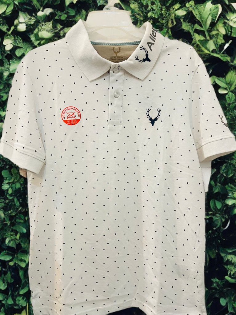 Allen Solly T-shirt